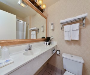 Americas Best Value Inn San Jose Convention - Hotel Bathroom